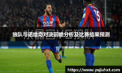 狼队与诺维奇对决前瞻分析及比赛结果预测